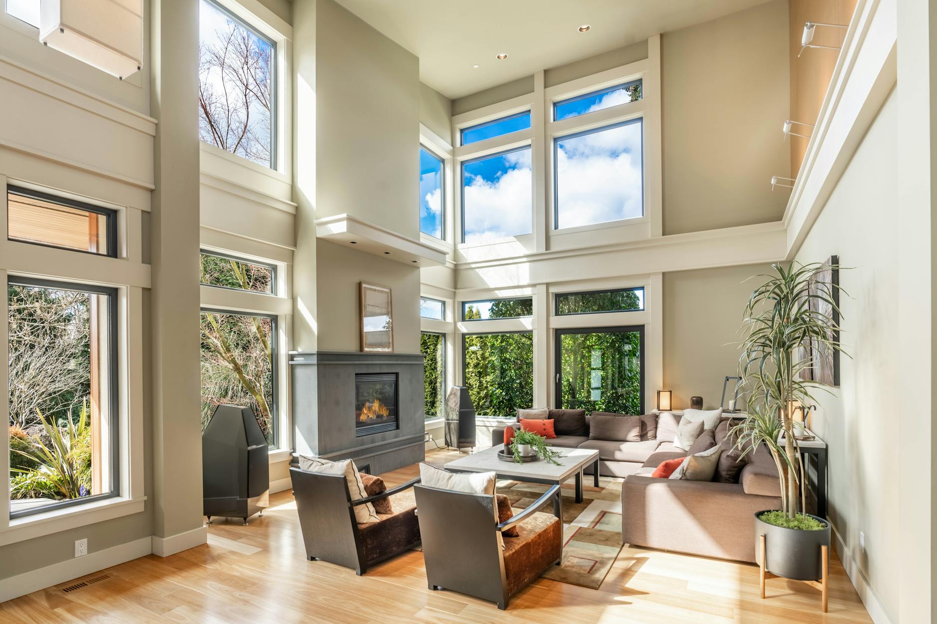 Full Height Shutters project 14 — CTY Home Sydney