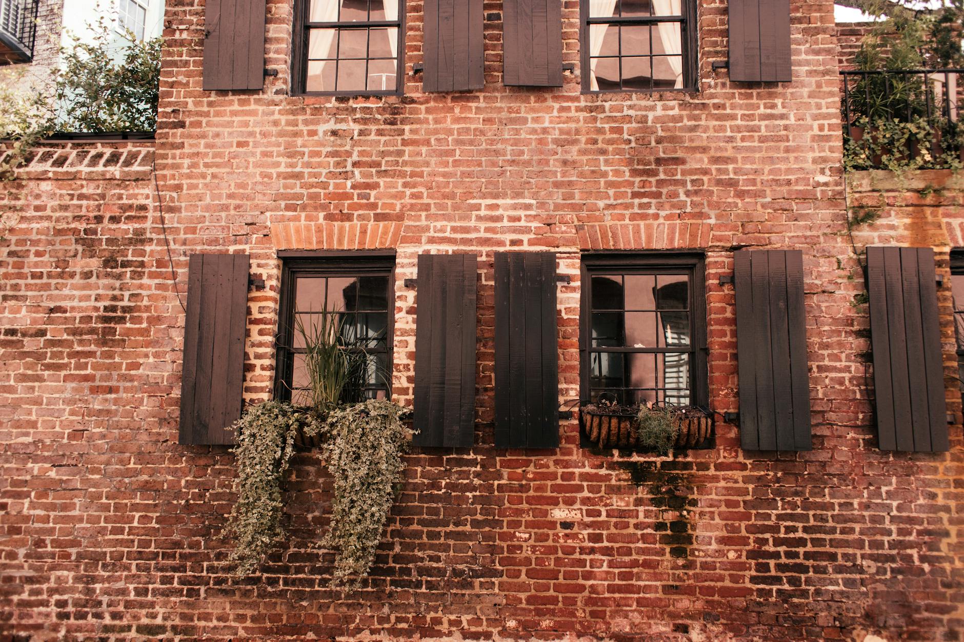 Residential Shutter Installations project 19 — CTY Home Sydney