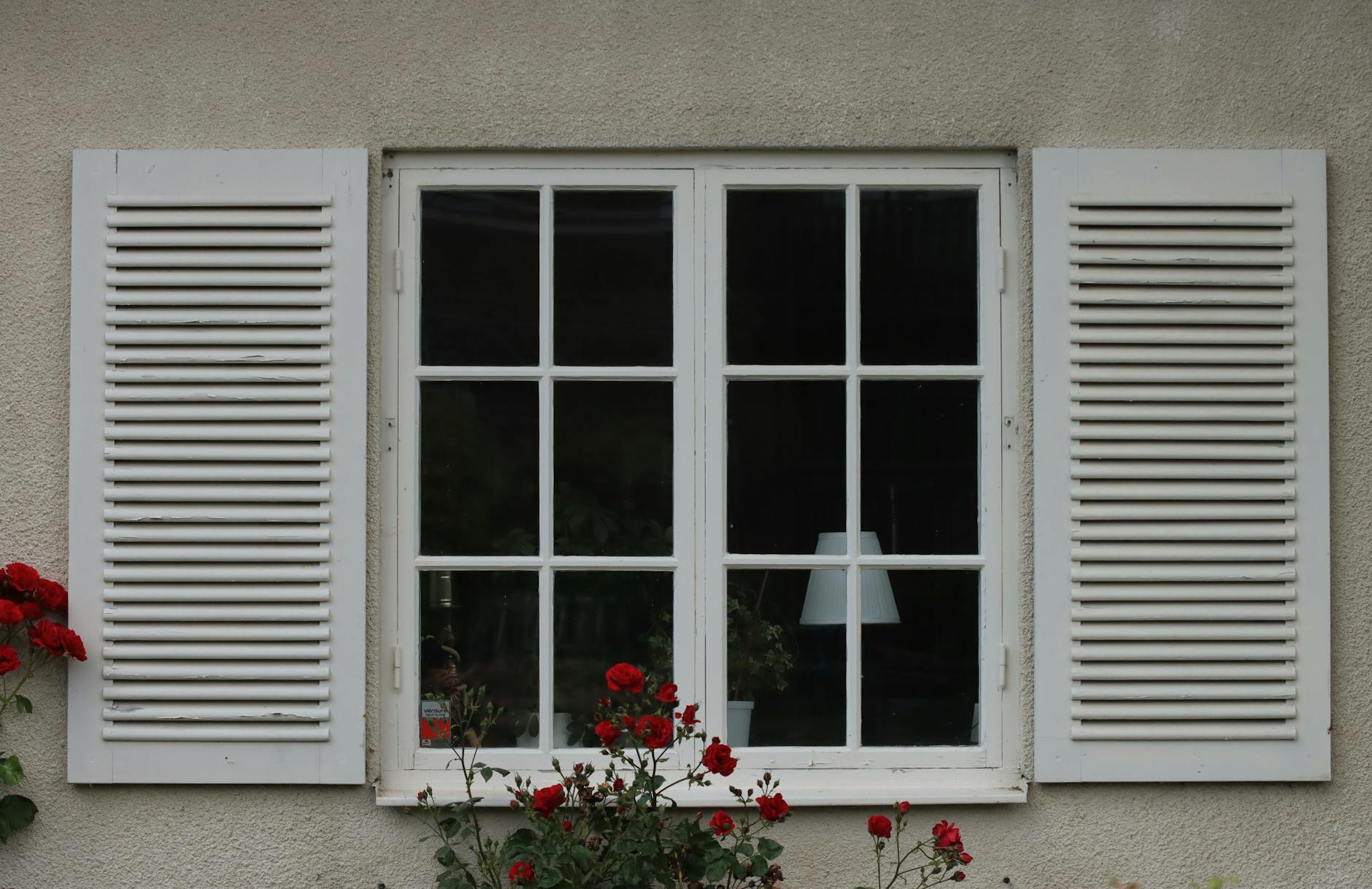 White Plantation Shutters project 4 — CTY Home Sydney
