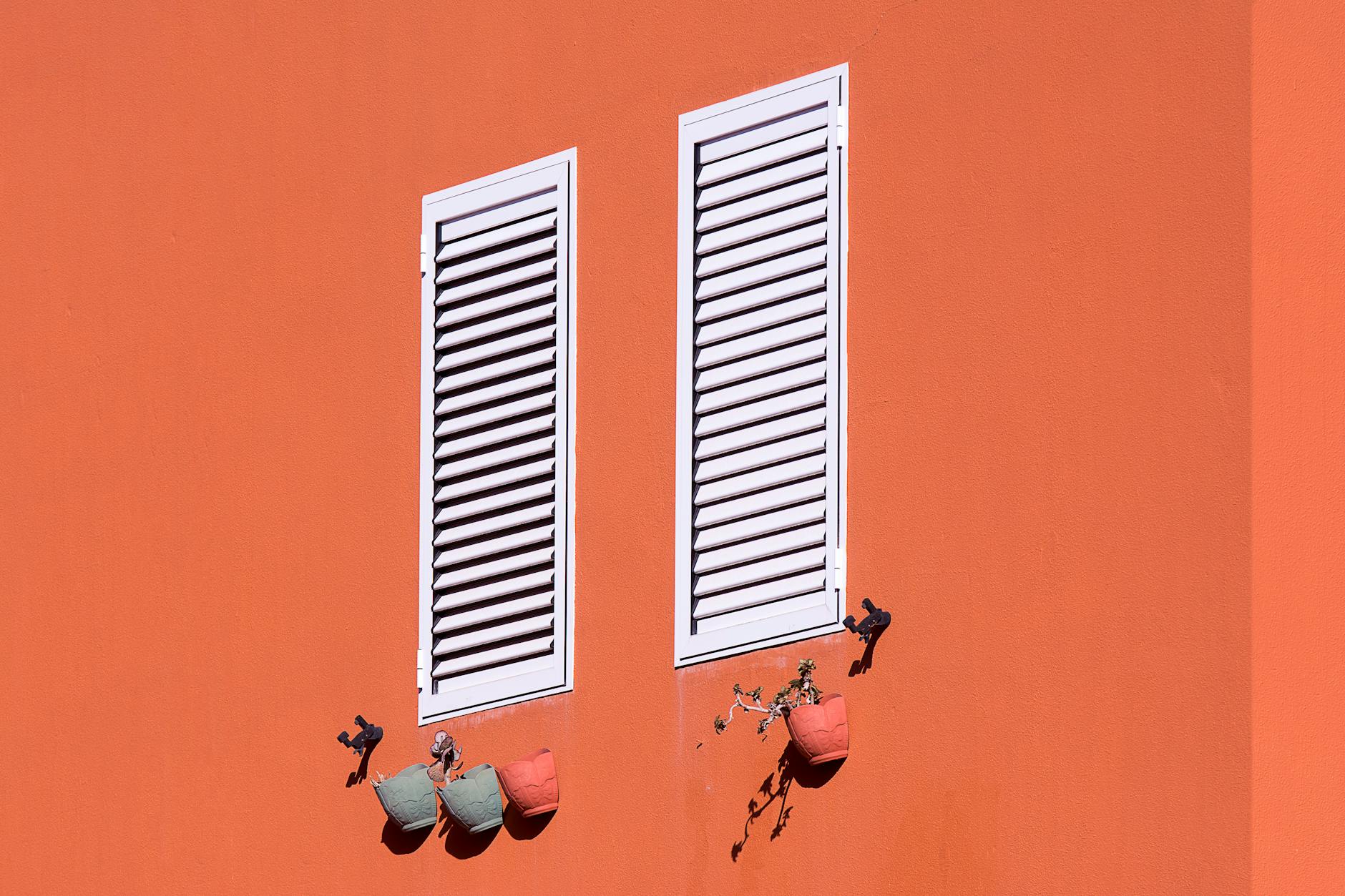 White Plantation Shutters project 10 — CTY Home Sydney